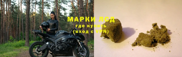 таблы Осинники