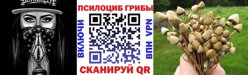 цена наркотик  Смоленск  Псилоцибиновые грибы Cubensis 